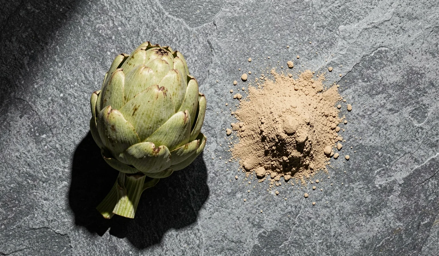 Cynara scolymus